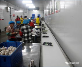 欢乐爱家工厂开放日 家政服务的匠心之旅